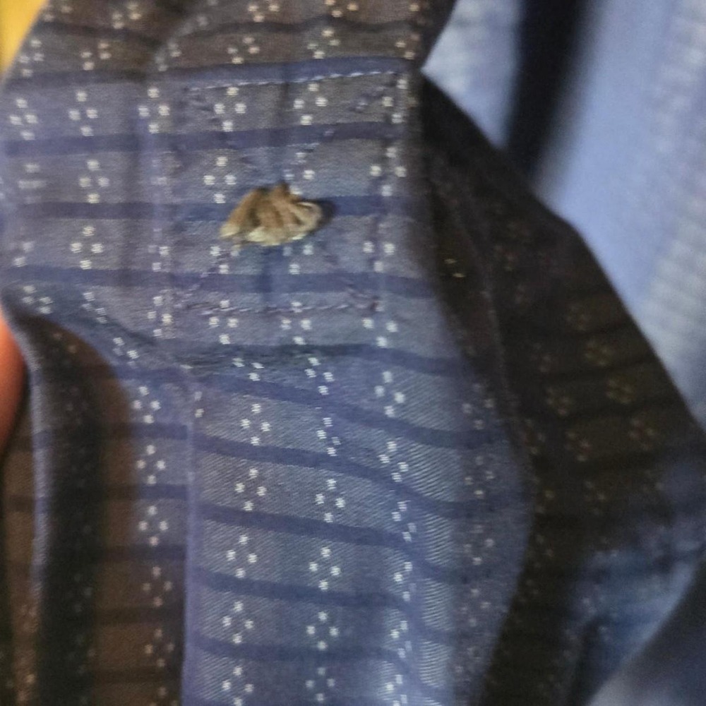 #114- Murano Liquid Luxury Blue & White Striped Button-Up Shirt - Picture 3 of 4
